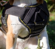 Brustgeschirr aus Nylon für Beagle